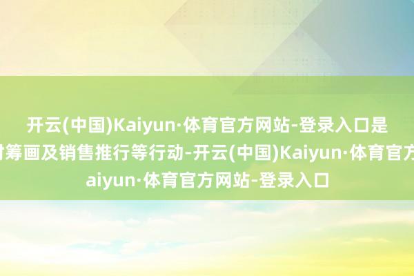 开云(中国)Kaiyun·体育官方网站-登录入口是否内容用于平时筹画及销售推行等行动-开云(中国)Kaiyun·体育官方网站-登录入口