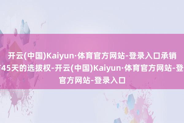开云(中国)Kaiyun·体育官方网站-登录入口承销商将有45天的选拔权-开云(中国)Kaiyun·体育官方网站-登录入口