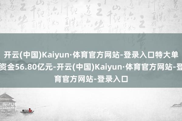 开云(中国)Kaiyun·体育官方网站-登录入口特大单净流出资金56.80亿元-开云(中国)Kaiyun·体育官方网站-登录入口