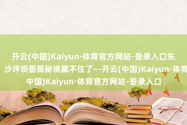 开云(中国)Kaiyun·体育官方网站-登录入口东说念主少景好意思！沙坪坝蔷薇秘境藏不住了~-开云(中国)Kaiyun·体育官方网站-登录入口