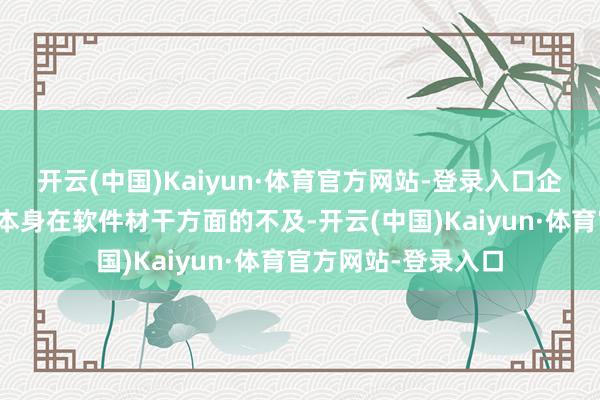 开云(中国)Kaiyun·体育官方网站-登录入口企业不错系统地识别本身在软件材干方面的不及-开云(中国)Kaiyun·体育官方网站-登录入口