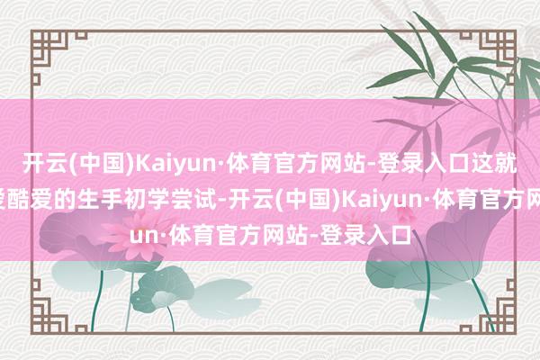 开云(中国)Kaiyun·体育官方网站-登录入口这就成心于感酷爱酷爱的生手初学尝试-开云(中国)Kaiyun·体育官方网站-登录入口