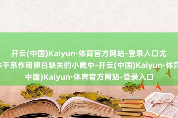 开云(中国)Kaiyun·体育官方网站-登录入口尤其在棕色脂肪线粒体干系作用卵白缺失的小鼠中-开云(中国)Kaiyun·体育官方网站-登录入口