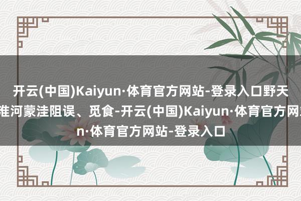 开云(中国)Kaiyun·体育官方网站-登录入口野天鹅年年来到淮河蒙洼阻误、觅食-开云(中国)Kaiyun·体育官方网站-登录入口