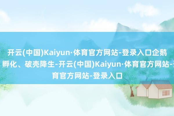 开云(中国)Kaiyun·体育官方网站-登录入口企鹅从产蛋、孵化、破壳降生-开云(中国)Kaiyun·体育官方网站-登录入口