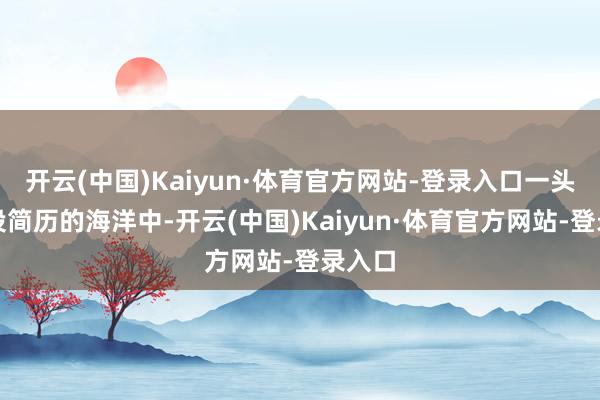 开云(中国)Kaiyun·体育官方网站-登录入口一头扎进投简历的海洋中-开云(中国)Kaiyun·体育官方网站-登录入口
