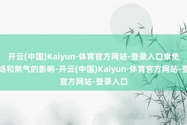 开云(中国)Kaiyun·体育官方网站-登录入口幸免不良磁场和煞气的影响-开云(中国)Kaiyun·体育官方网站-登录入口
