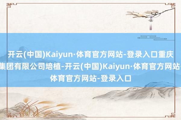 开云(中国)Kaiyun·体育官方网站-登录入口重庆小康汽车集团有限公司培植-开云(中国)Kaiyun·体育官方网站-登录入口