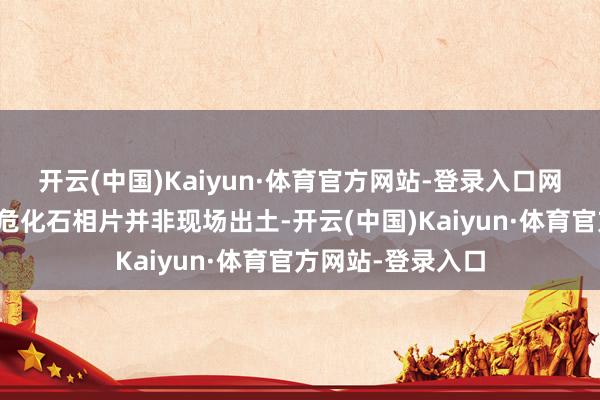 开云(中国)Kaiyun·体育官方网站-登录入口网崇高传的部分垂危化石相片并非现场出土-开云(中国)Kaiyun·体育官方网站-登录入口